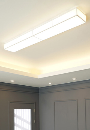 3가지 조명 색상 변환이 가능한 바리솔로 만든 타이디 LED 50W 주방등 매장 포인트 거실 조명